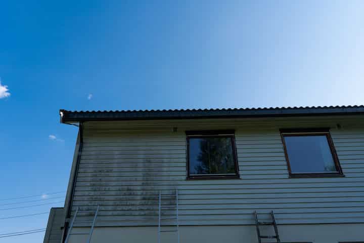 exterior mold removal services Fishers